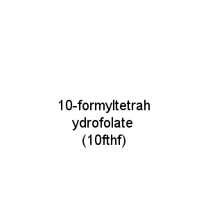 10-formyltetrahydrofolate (10fthf)